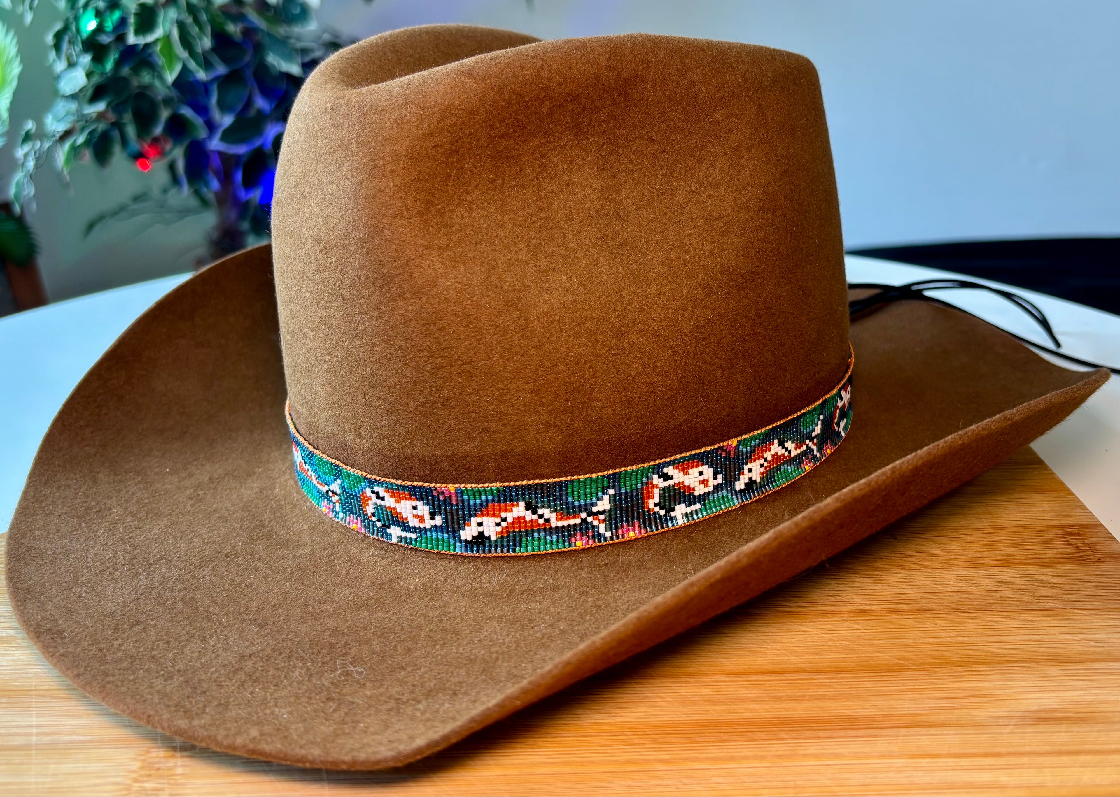 The Koi Fish Hatband