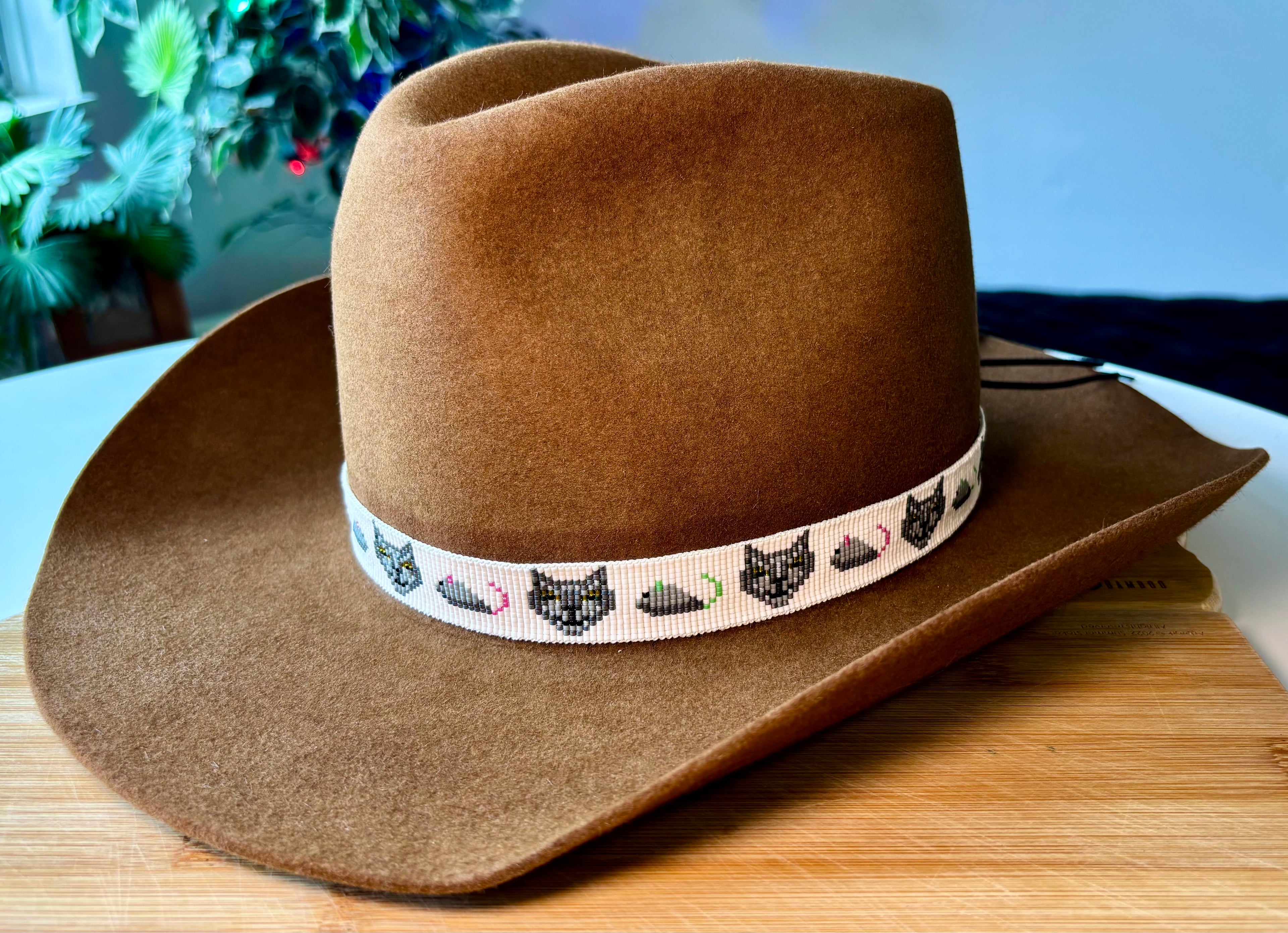 The Merlin Hatband