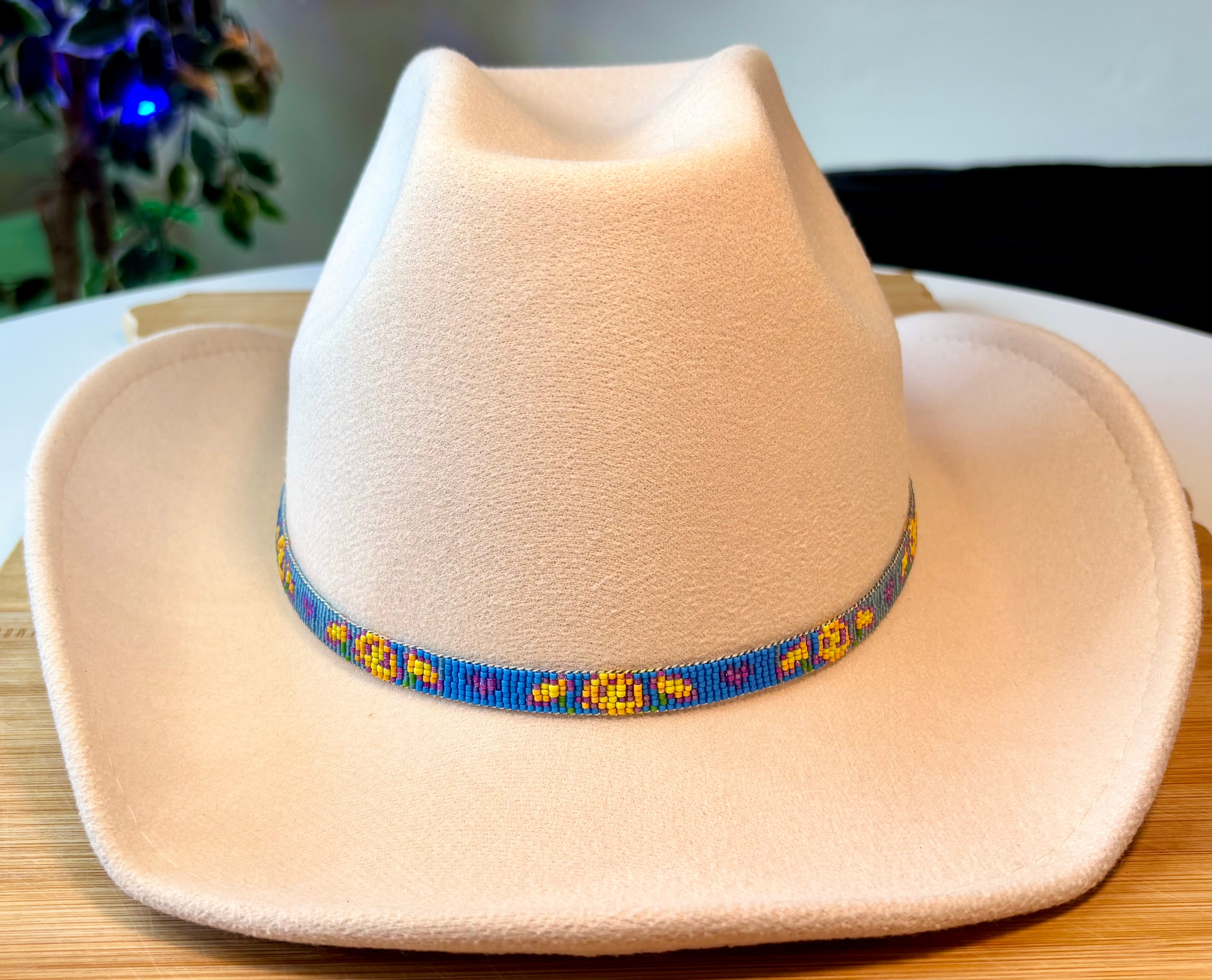Sunset Roses Hatband