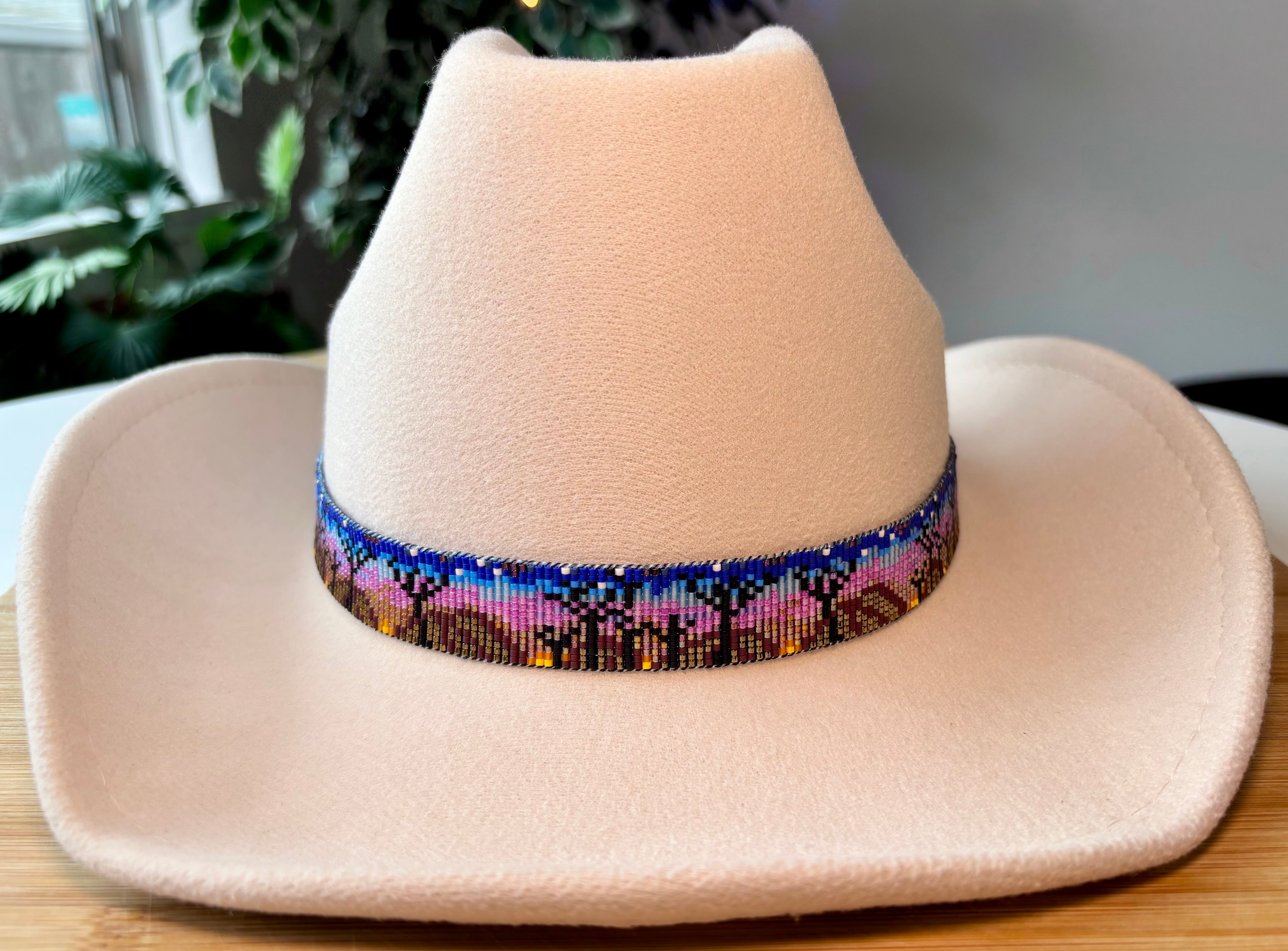 Scenic Desert Sunset Hatband