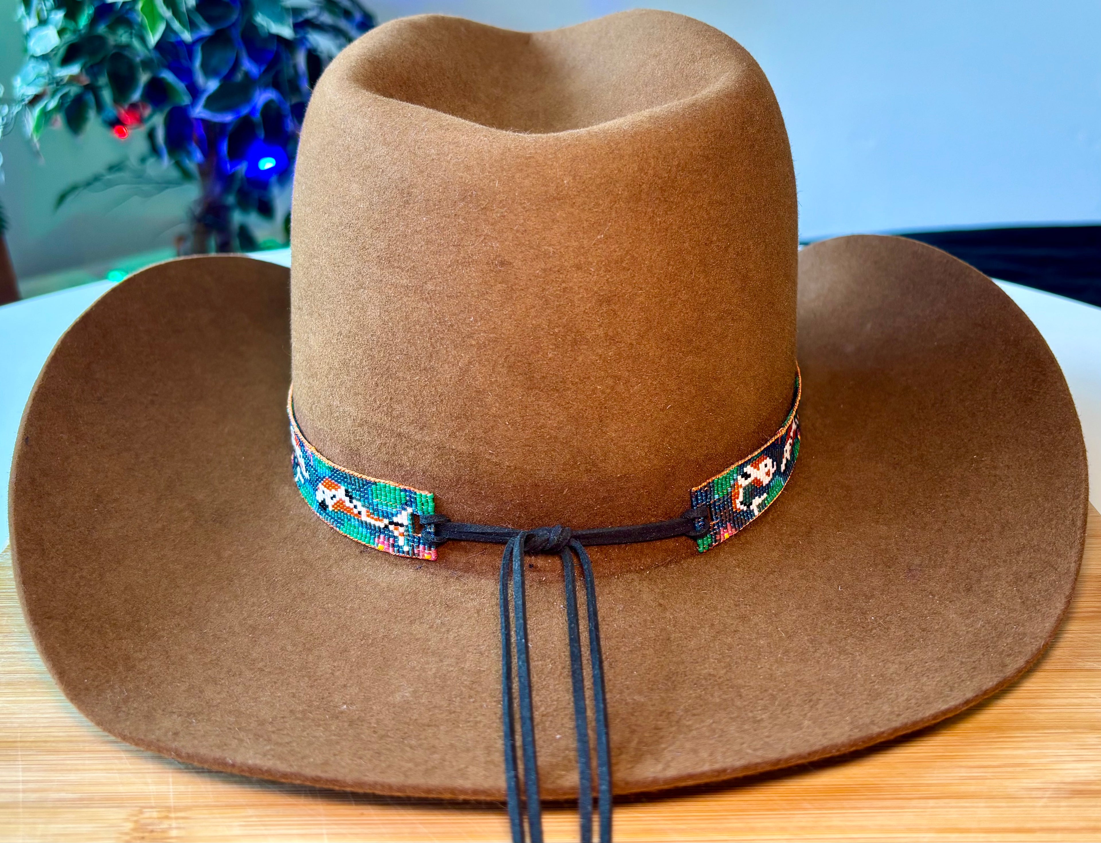 The Koi Fish Hatband