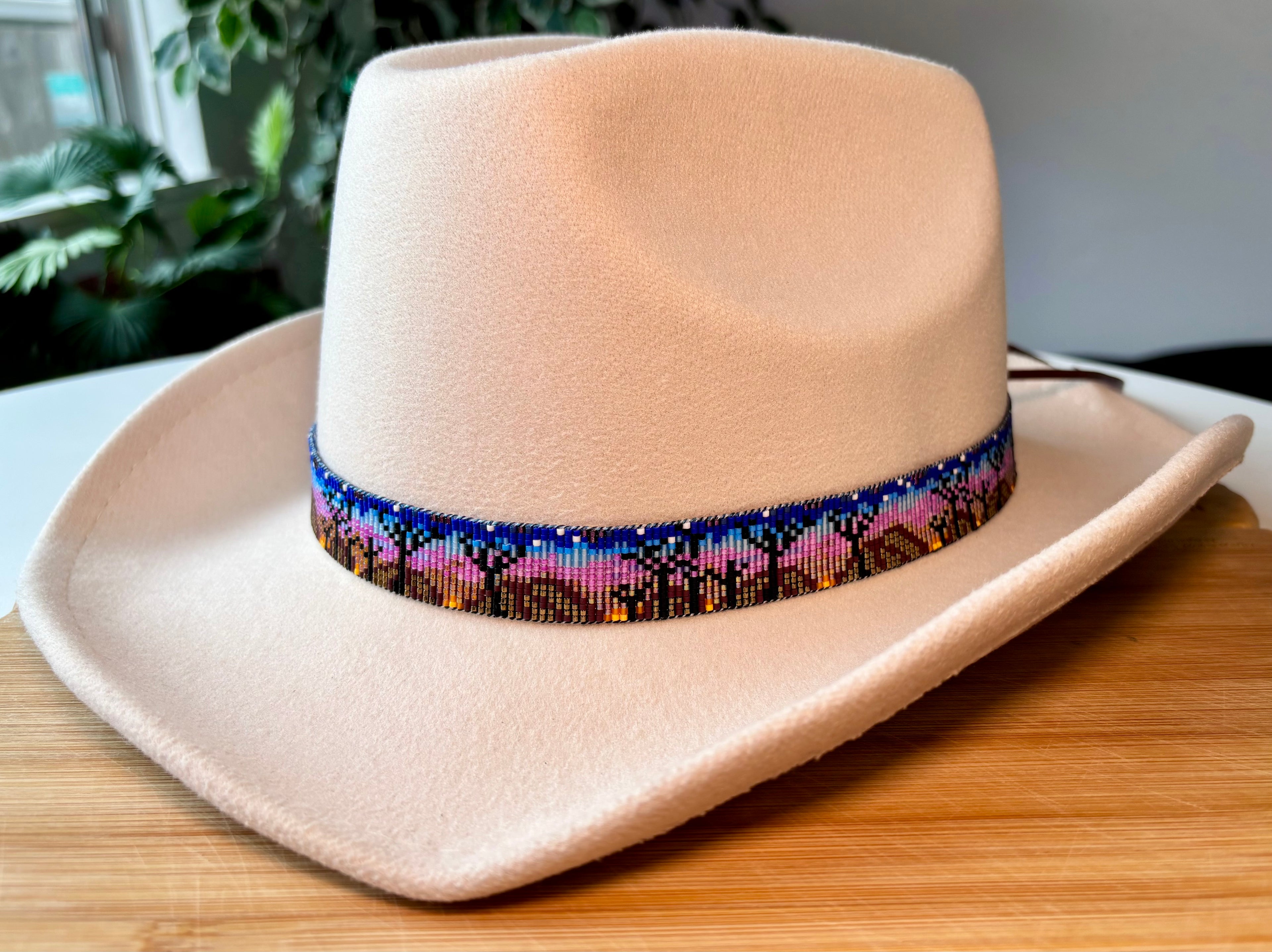 Scenic Desert Sunset Hatband